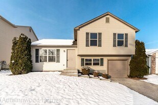 3123 Falcon Bridge Dr