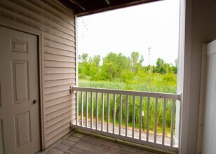 The Meadows of Brownstown - a 55+ Community in Brownstown, MI - Building Photo - Building Photo
