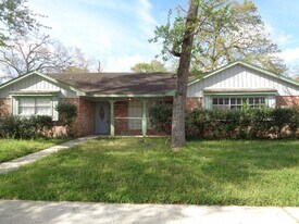 29419 Raestone St in Spring, TX - Building Photo