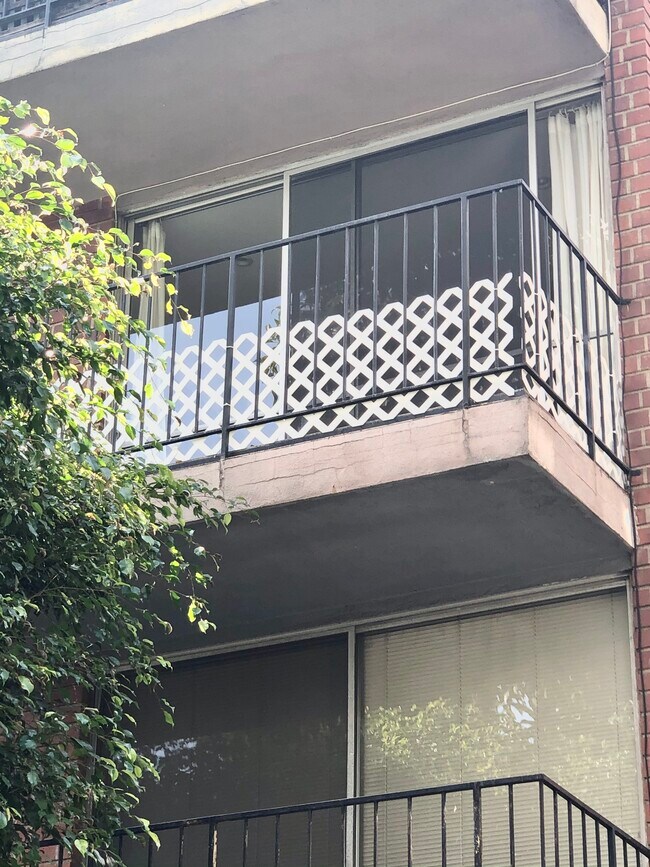 1211 Horn Ave in West Hollywood, CA - Building Photo - Building Photo