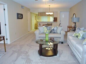 244 Cypress Ln in Oldsmar, FL - Building Photo - Building Photo