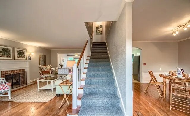 254 Quentin Dr in San Antonio, TX - Building Photo - Building Photo