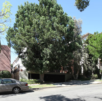 557 E San Jose Ave Apartments