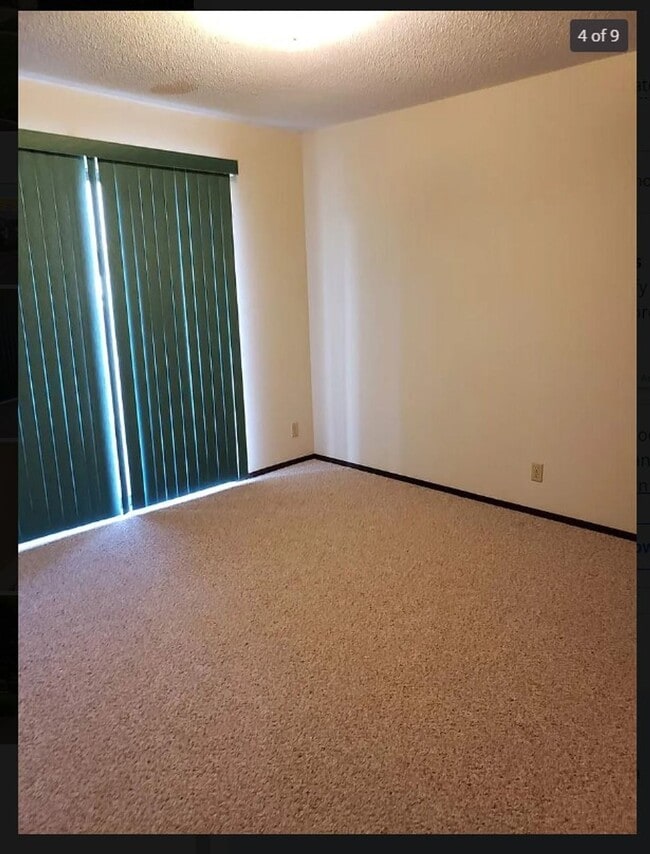 1301 Springfield Dr in Midland, MI - Building Photo - Building Photo