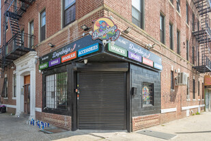 351 Riverdale Avenue in New York, NY - Building Photo - Building Photo