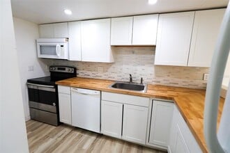 2913 Lichen Ln in Clearwater, FL - Building Photo - Building Photo