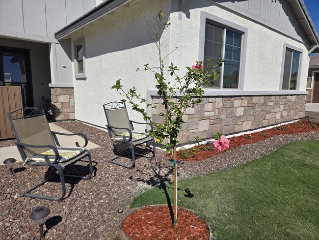 14804 E 41st St in Yuma, AZ - Foto de edificio - Building Photo