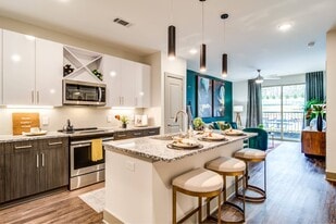 Skye Suwanee Town Center in Suwanee, GA - Building Photo