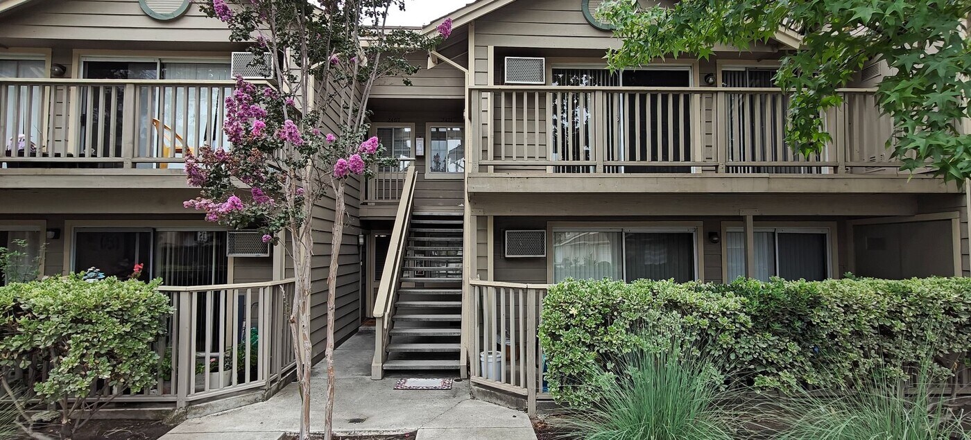 2411 Jubilee Ln in San Jose, CA - Foto de edificio
