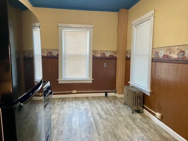 117 Laurel St in Fitchburg, MA - Building Photo - Building Photo