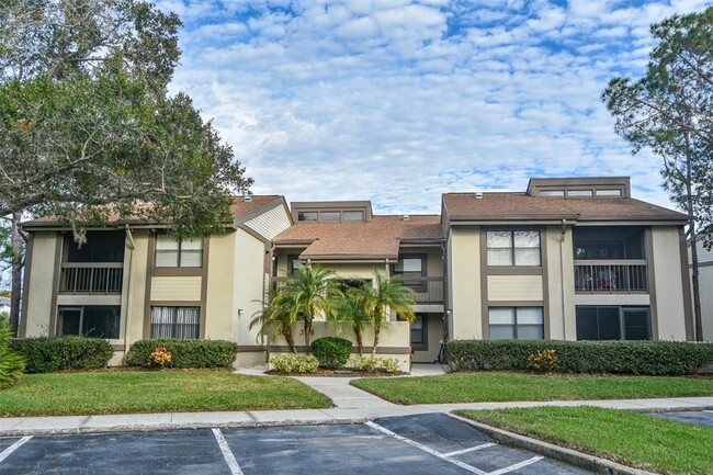 336 Woodlake Wynde in Oldsmar, FL - Building Photo - Building Photo