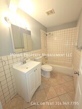207 Waller Ave in St. Louis, MO - Building Photo - Building Photo