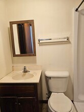 313 N Grove St in Bowling Green, OH - Building Photo - Building Photo