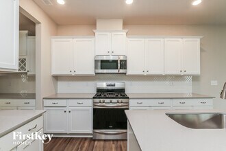 15733 White Quartz Ln in Davidson, NC - Building Photo - Building Photo