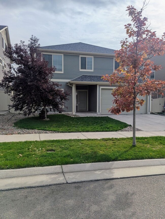 19046 Randolph Pl in Denver, CO - Building Photo - Building Photo