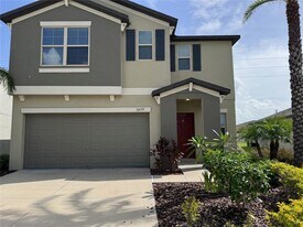 5059 White Chicory Dr in Apollo Beach, FL - Building Photo