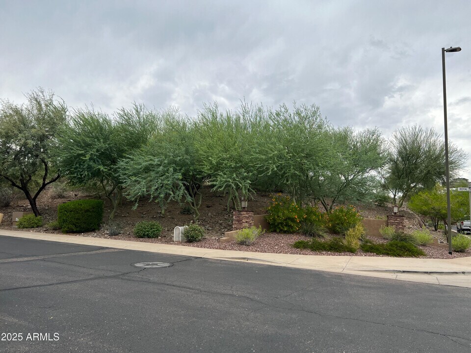 8131 N 13th Wy in Phoenix, AZ - Building Photo