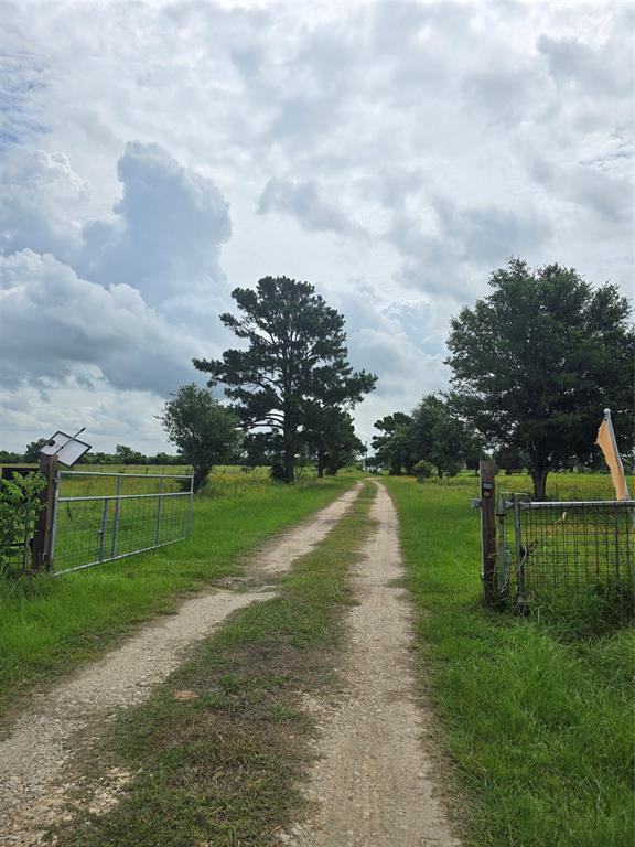 property at 29502 FM 1736