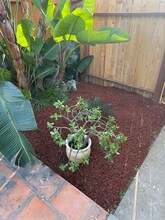 3739 Jewell St in San Diego, CA - Building Photo - Building Photo