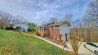 213 Ridgewood Cir in Chickamauga, GA - Building Photo