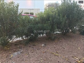3370 Cambridge St in Las Vegas, NV - Building Photo - Building Photo