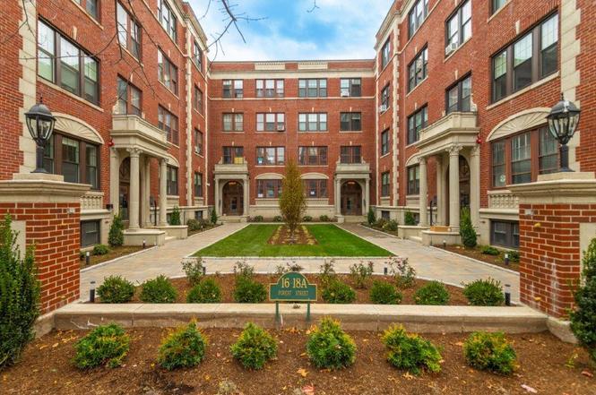 27 Forest St, Unit 21 in Cambridge, MA - Building Photo