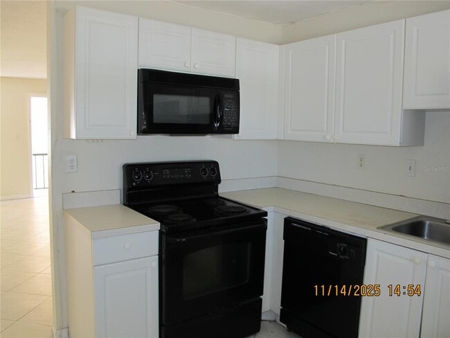 12405 Orange Blossom Oak Pl in Tampa, FL - Building Photo - Building Photo