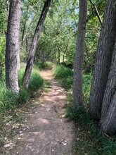 1621 Underhill Dr in Fort Collins, CO - Building Photo - Building Photo