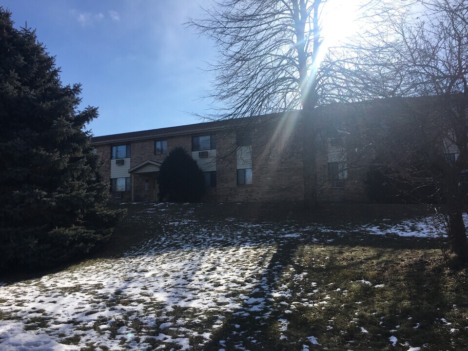 332 Wells St in Delafield, WI - Building Photo