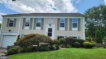 14216 Twig Rd in Silver Spring, MD - Building Photo