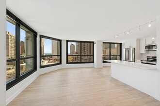 1030 N State St in Chicago, IL - Foto de edificio - Building Photo