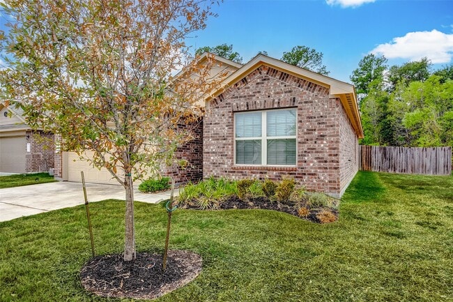 10135 Shagbark Hickory Ct in The Woodlands, TX - Building Photo - Building Photo