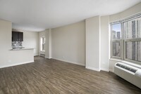 Building Photo - Chestnut Place Apartments in Chicago, Illinois