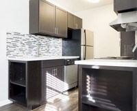 Building Photo - Camellia House Apartamentos in Denver, Colorado