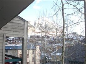 271 Gothic Rd in Mt Crested Butte, CO - Building Photo