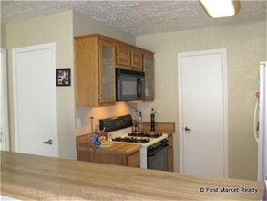 3702 Echo Grove Ln in Houston, TX - Building Photo - Building Photo