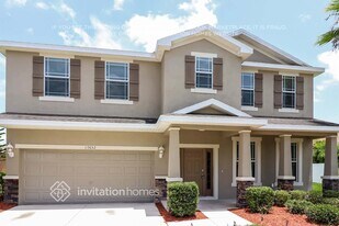 10632 Burning Bush Terrace in Land O Lakes, FL - Building Photo