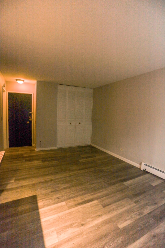 535 W Briar Pl in Chicago, IL - Foto de edificio - Building Photo