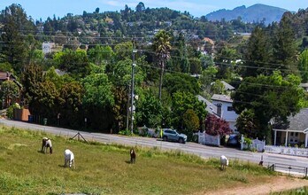12 Greenfield Ct in Mill Valley, CA - Building Photo - Building Photo