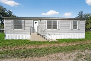 39256 Lizabeth Cir in Zephyrhills, FL - Building Photo