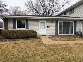 314 Covehill Ct in Schaumburg, IL - Building Photo