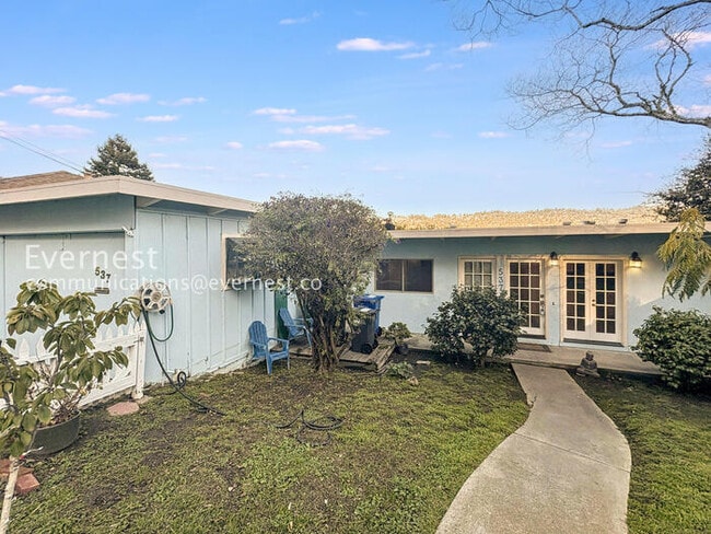 537 Madison St in Albany, CA - Building Photo - Building Photo