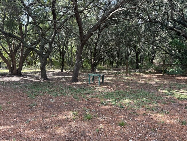 2318 Manvel Rd in Pearland, TX - Building Photo - Building Photo