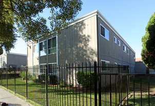 909 S Citron St Apartamentos