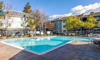 Avana Almaden in San Jose, CA - Building Photo - Building Photo