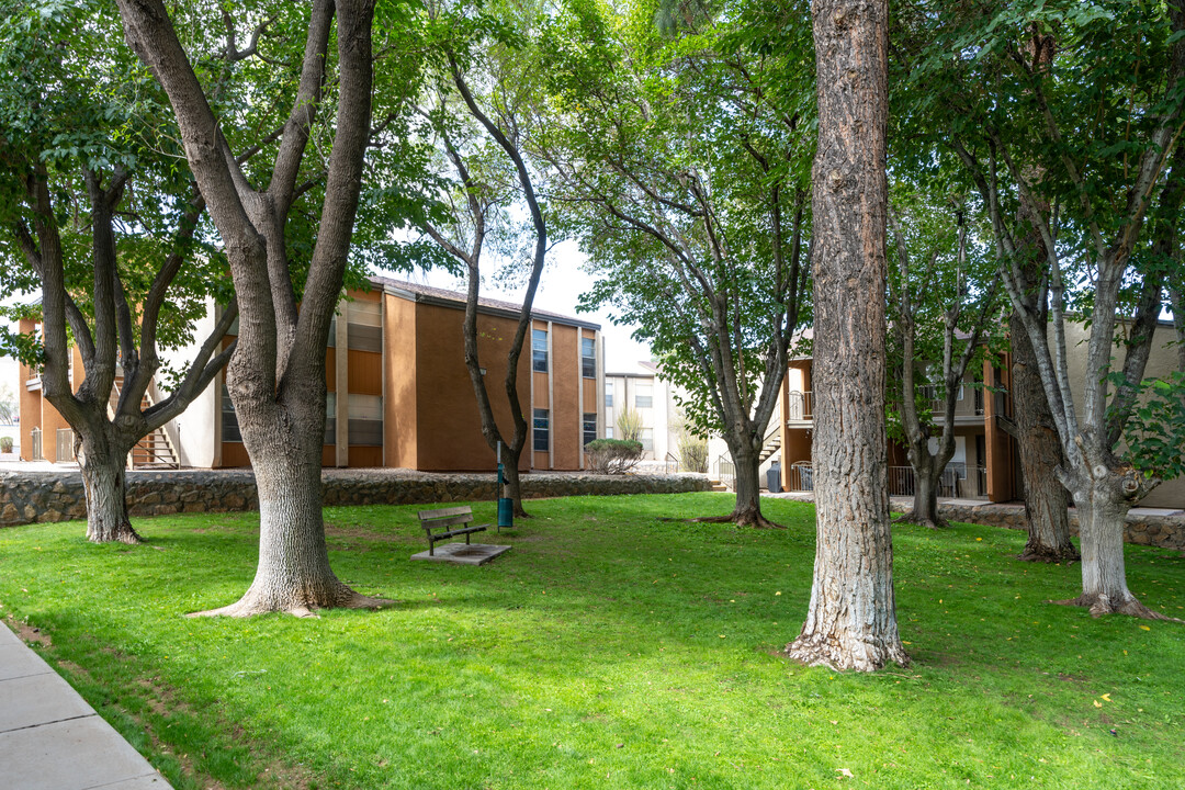 Butterfield Trail Apartments in El Paso, TX - Building Photo