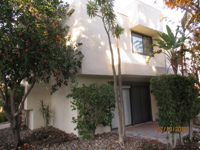 property at 48728 Desert Flower Dr
