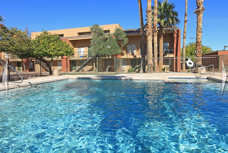 Arbor Village in Phoenix, AZ - Foto de edificio