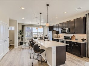 6988 Ipswich Ct in Castle Pines, CO - Building Photo - Building Photo