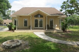 11521 Innfields Dr in Odessa, FL - Building Photo